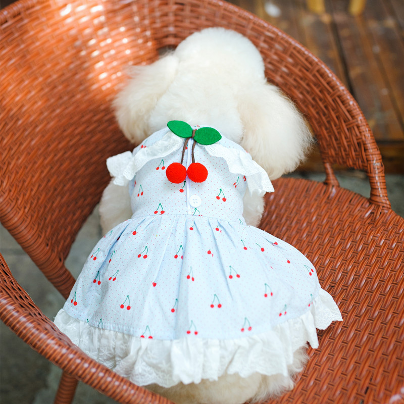 Summer Teddy VIP French Corgi Small Dog Dog Puffy Skirt
