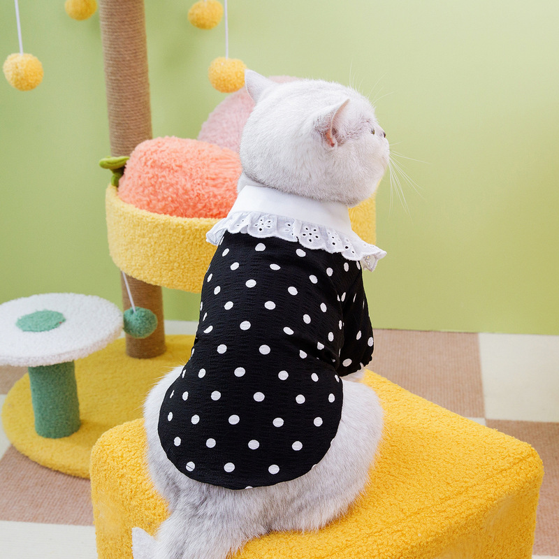 Spring and summer T-shirts for pets, cute cats, leashes for cats, cats, clothes