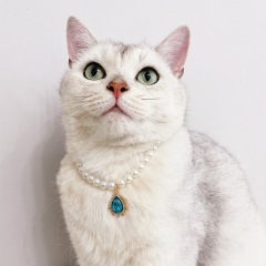 Pet Retro Baroque Diamond Pearl Necklace Cat Dog Necklace Necklace German Hairless Cat Necklace