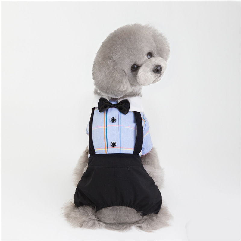 New spring and summer pet clothes Teddy Bichon Bear Chihuahua Dog Cotton Suit Sling Skirt Couple Set
