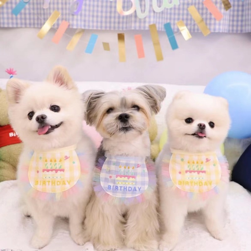 INS new Korean cute birthday embroidered dog bib pet cat dog bib saliva towel