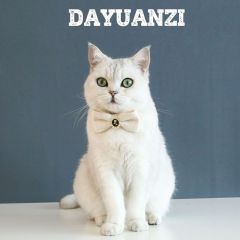 Pet knitted plaid vintage pearl bow tie collar cat and dog adjustable anti-suffocation princess birthday bow