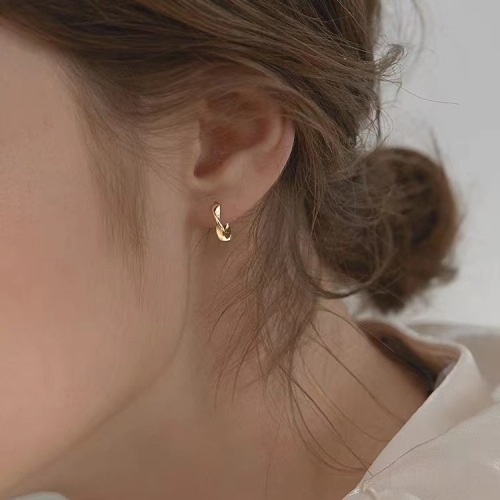 Earrings for women's earrings niche design sense high-end earrings cold style earrings