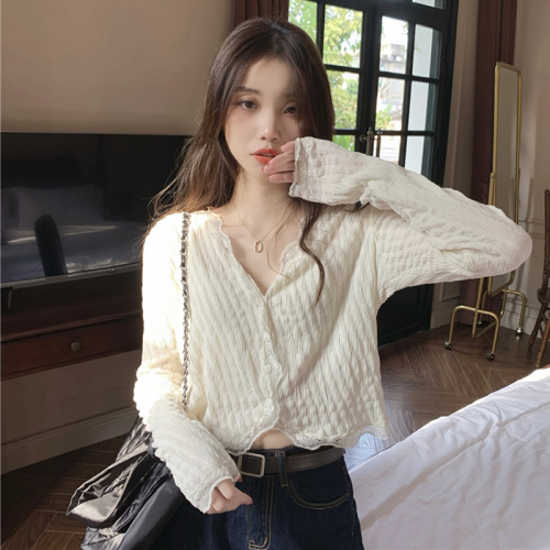 Sweet and chic long-sleeved shirt for women's spring clothes new niche design lace-edged V-neck short top