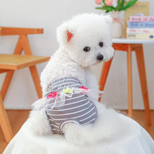 Spring and summer new products spot wholesale pet dogs and cats clothes small dogs and puppies sasa bow physiological pants