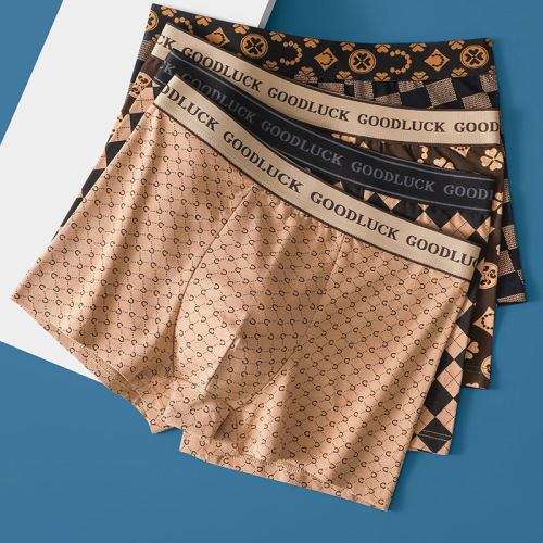 Men's Sexy Trend Comfort Mid-rise Straight Leg Boxer Briefs Breathable Men's Bottoms Wholesale