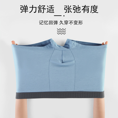 Spring and summer men's underwear pure cotton graphene antibacterial crotch mid-waist comfortable breathable cotton high elastic men's boxer briefs