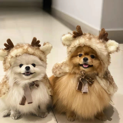 Christmas pet dog costumes, elk cloaks, dog cat clothes, cat transformation outfits, hats, accessories
