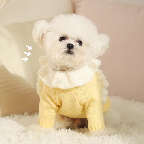 Dog clothes winter warm small dog Teddy Schnauzer Bichon autumn clothing autumn and winter pet puppy puppy sweater