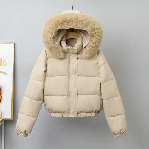 2025 New Thickened Down Cotton Coat Winter Short Down Coat with Fur Collar for Women