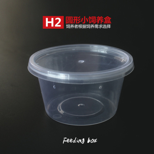 Normo H2 Pet Reptile Enclosure Box with Horned Frog, Gecko, Beetle, Silkworm, Insect Circle Ventilated Breeding Cage