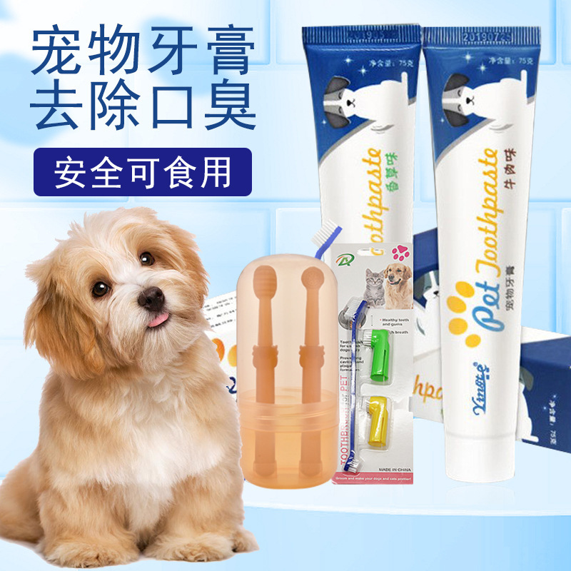 Cat toothbrush and toothpaste set for pets, dogs and cats, small dog bad breath removal and calculus cleaning supplies