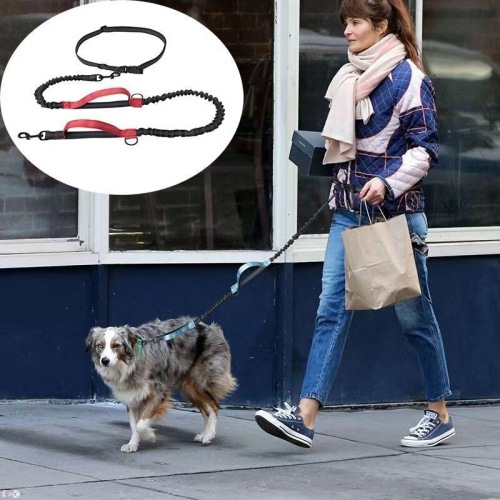 Belt Harness Leash Dog Walking Rope Multifunction Running Harness Rope Pet Harness Elastic Rope Pet