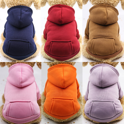 Autumn and Winter Cat Two-Legged Hoodie Pocket Dog Clothes Sports Style Dog and Cat Pet Clothes and Accessories