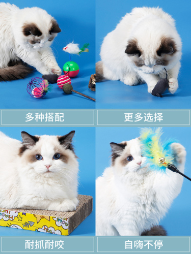 Cat toy set self-hi relieve boredom laser teasing cat stick kitten toys pet feather kittens cat supplies complete collection