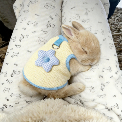 Rabbit clothes spring and summer dopamine vest can be used to pull pygmy rabbits, lop-eared rabbits, prevent hair loss, pet cute clothing