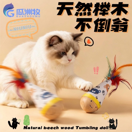 Tumbler cat toy—perfect for self-entertainment and relieving boredom; a great way to burn off energy. Feather teaser wand—a must-have item for little kittens!