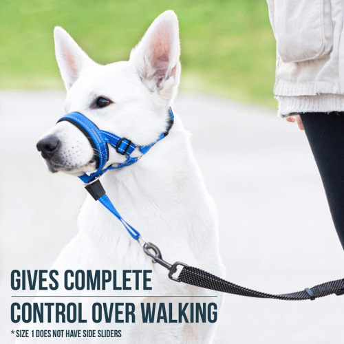 Pet muzzle, dog muzzle, adjustable anti-biting, anti-licking mask, breathable dog mask training belt, pet traction set