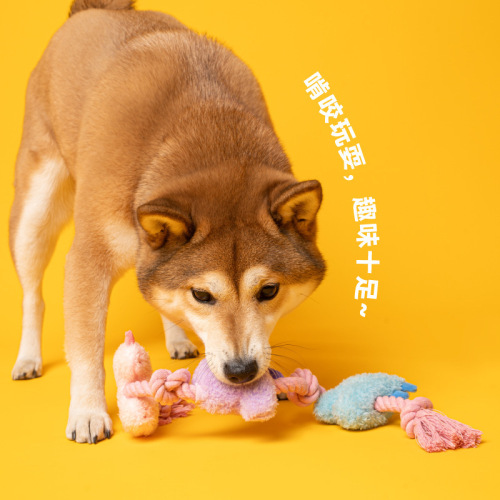 PETSVILLE dog knot toys small and medium-sized dog training self-stimulating teething and bite-resistant pet toys