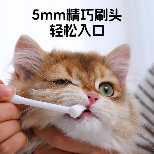 Special pet toothbrush and toothpaste set for cats and dogs Teddy bad breath removal tool for small dogs