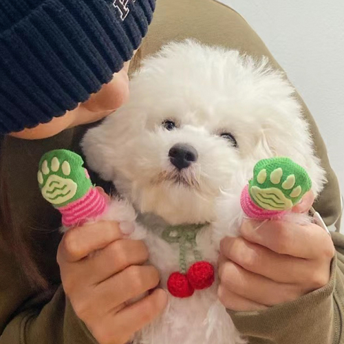 Dog socks, non-slip foot covers, anti-dirt, anti-scratch claw covers, teddy bi-bear, small and medium-sized dogs, pet cats, shoes