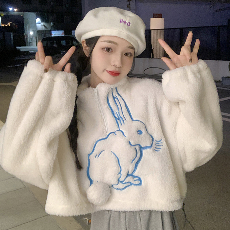 [official picture price 300g] imitation cashmere sweater women's cashmere half high collar embroidery