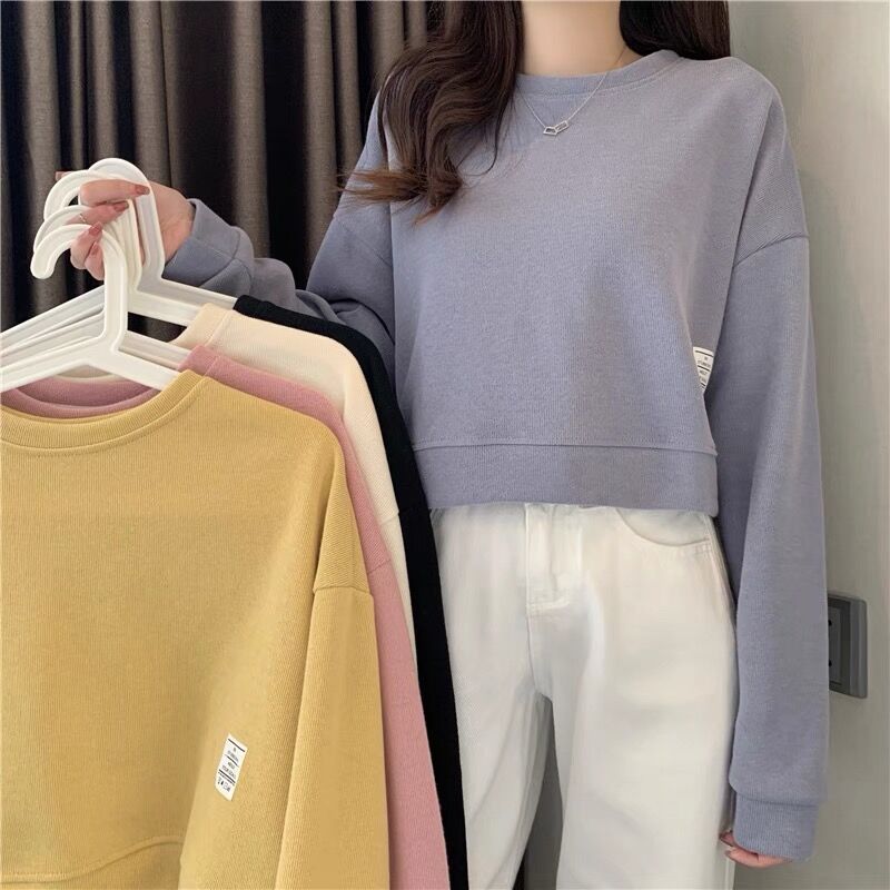 Autumn and winter Korean new loose short sweater casual fashion top for women (250g brushed Minnie)