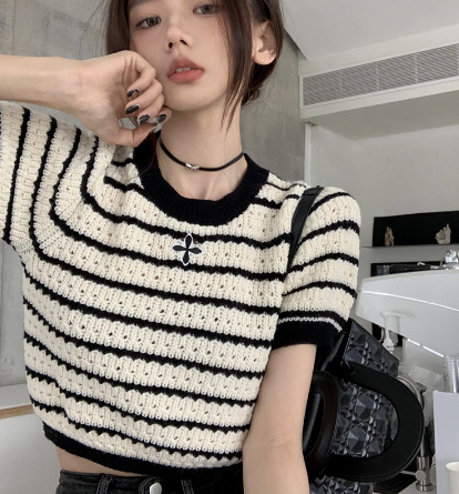 Contrast Stripe Cropped Knit Short Sleeve Top